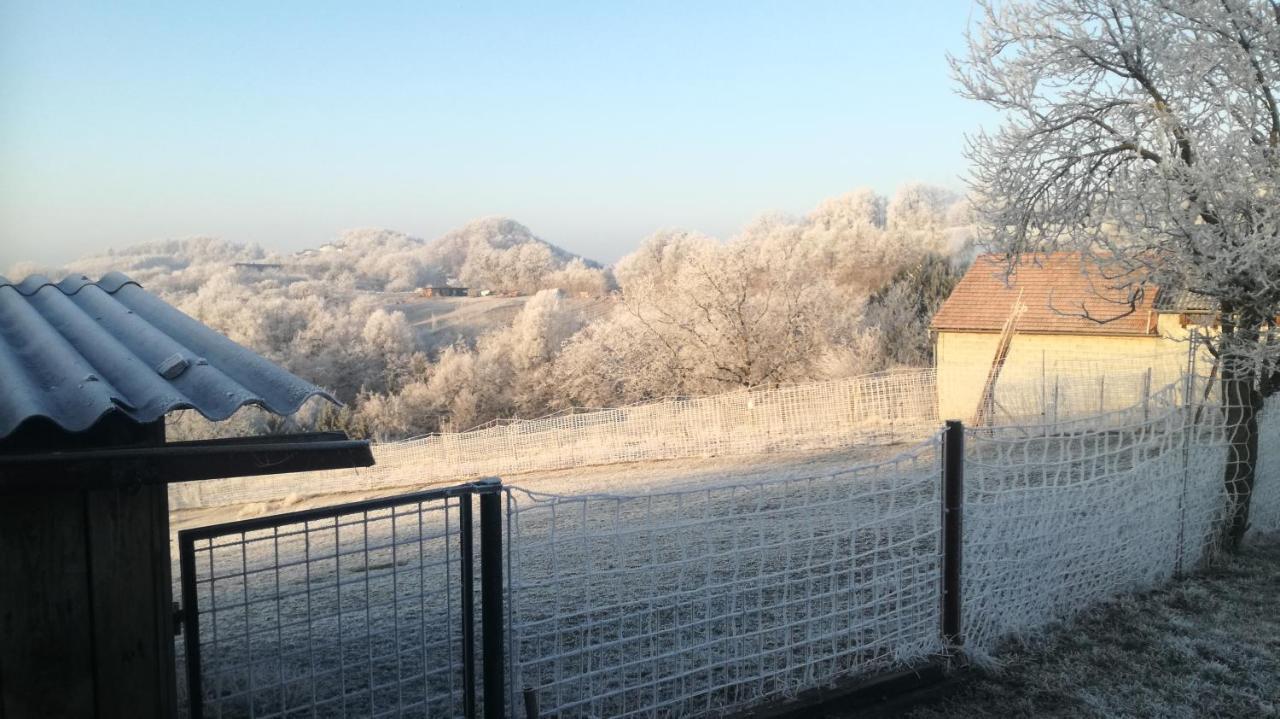 Appartamento S' Kellerstoeckl Fehring Esterno foto
