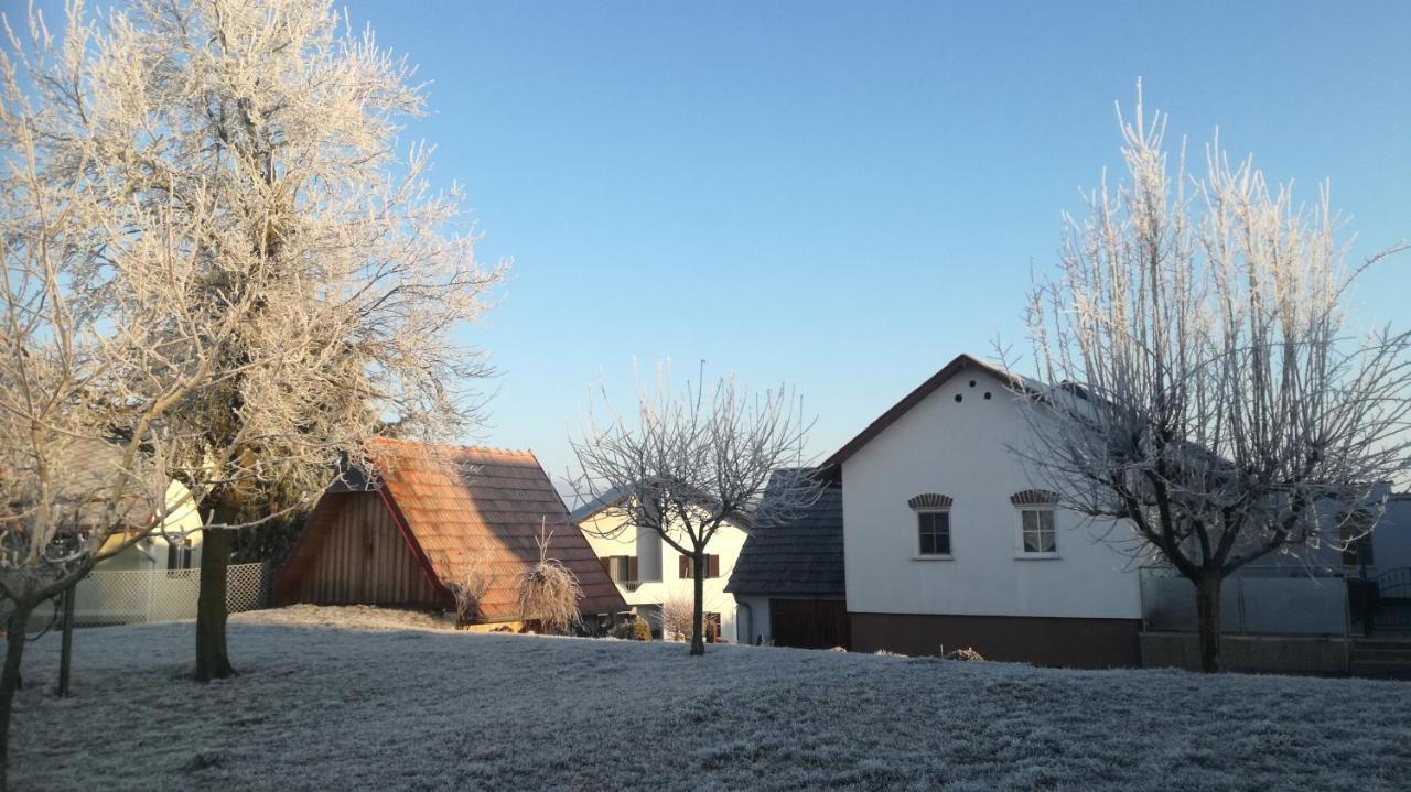 Appartamento S' Kellerstoeckl Fehring Esterno foto