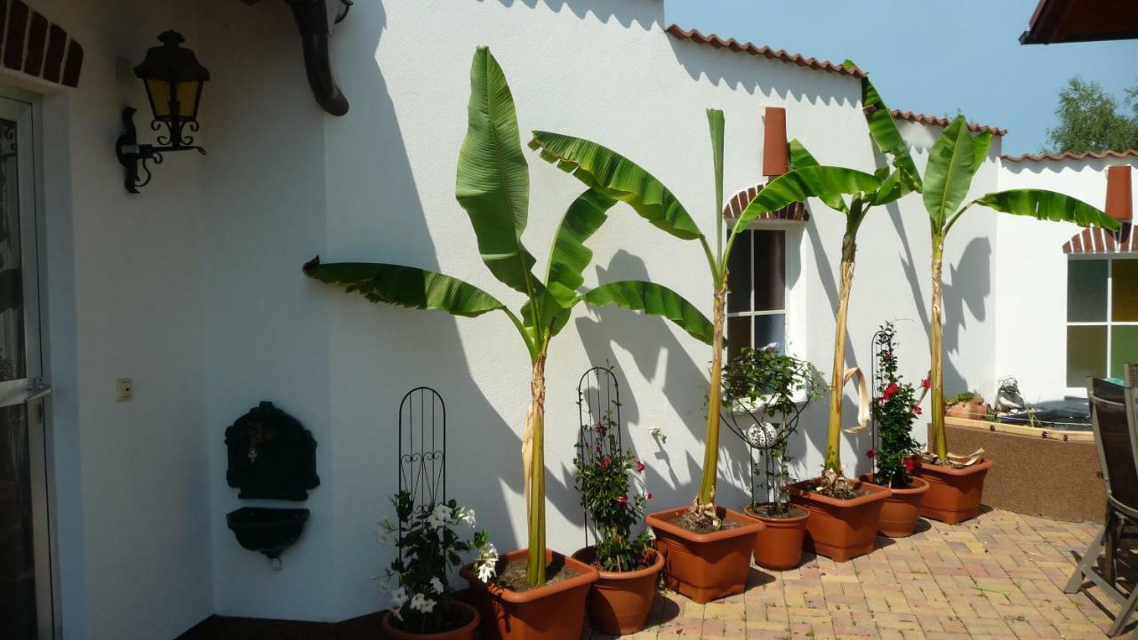 Appartamento S' Kellerstoeckl Fehring Esterno foto